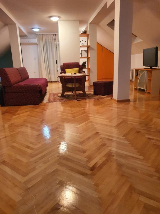 " Relax & Enjoy " Apartment Sarajevo Luaran gambar